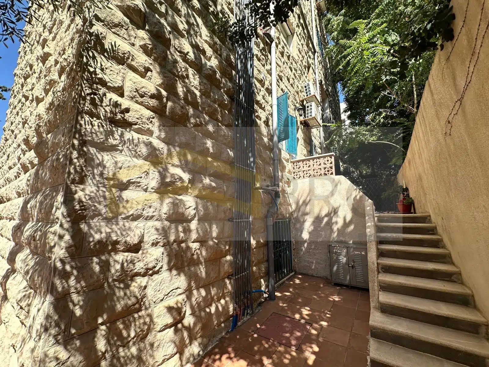 WhatsApp Image 2024-08-07 at 2.59.27 PM