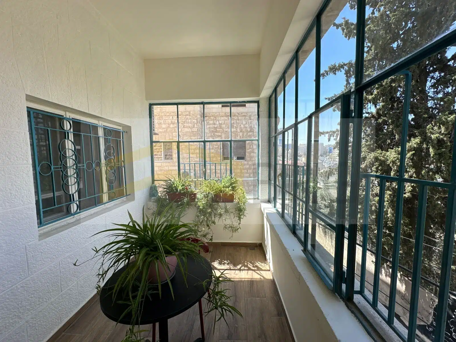 WhatsApp Image 2024-08-07 at 2.59.34 PM (3)