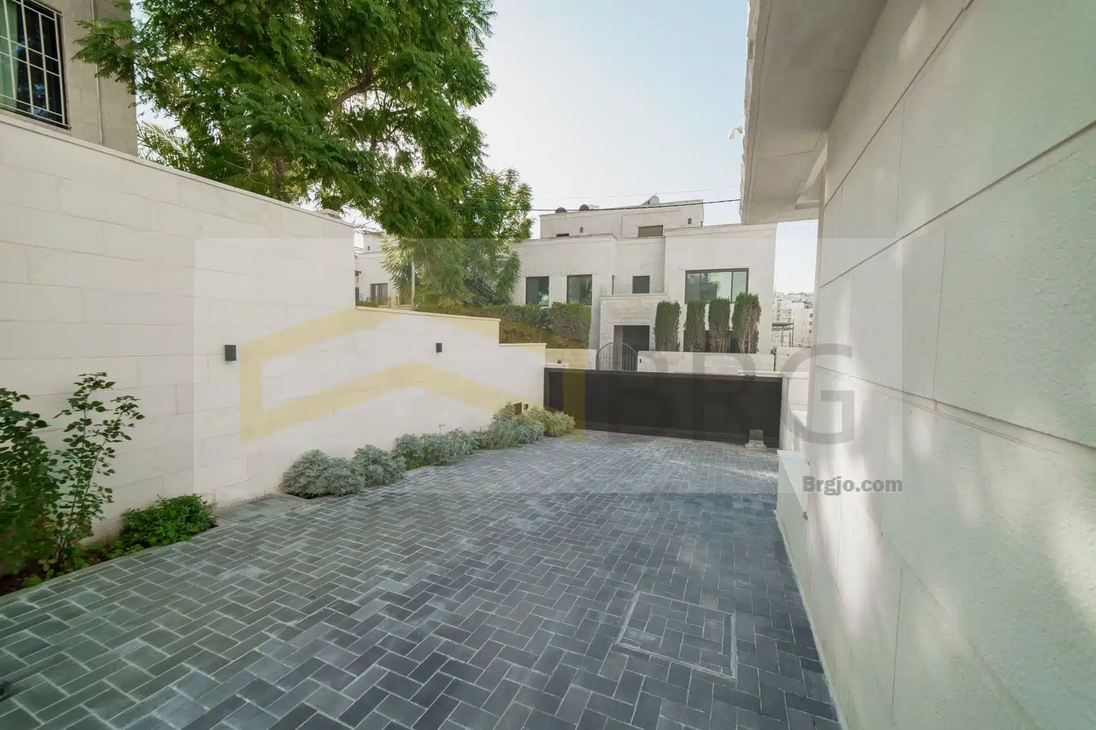 WhatsApp Image 2024-08-08 at 2.33.30 PM (1)