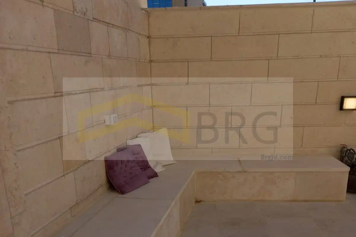 WhatsApp Image 2024-08-21 at 4.19.55 PM (1)