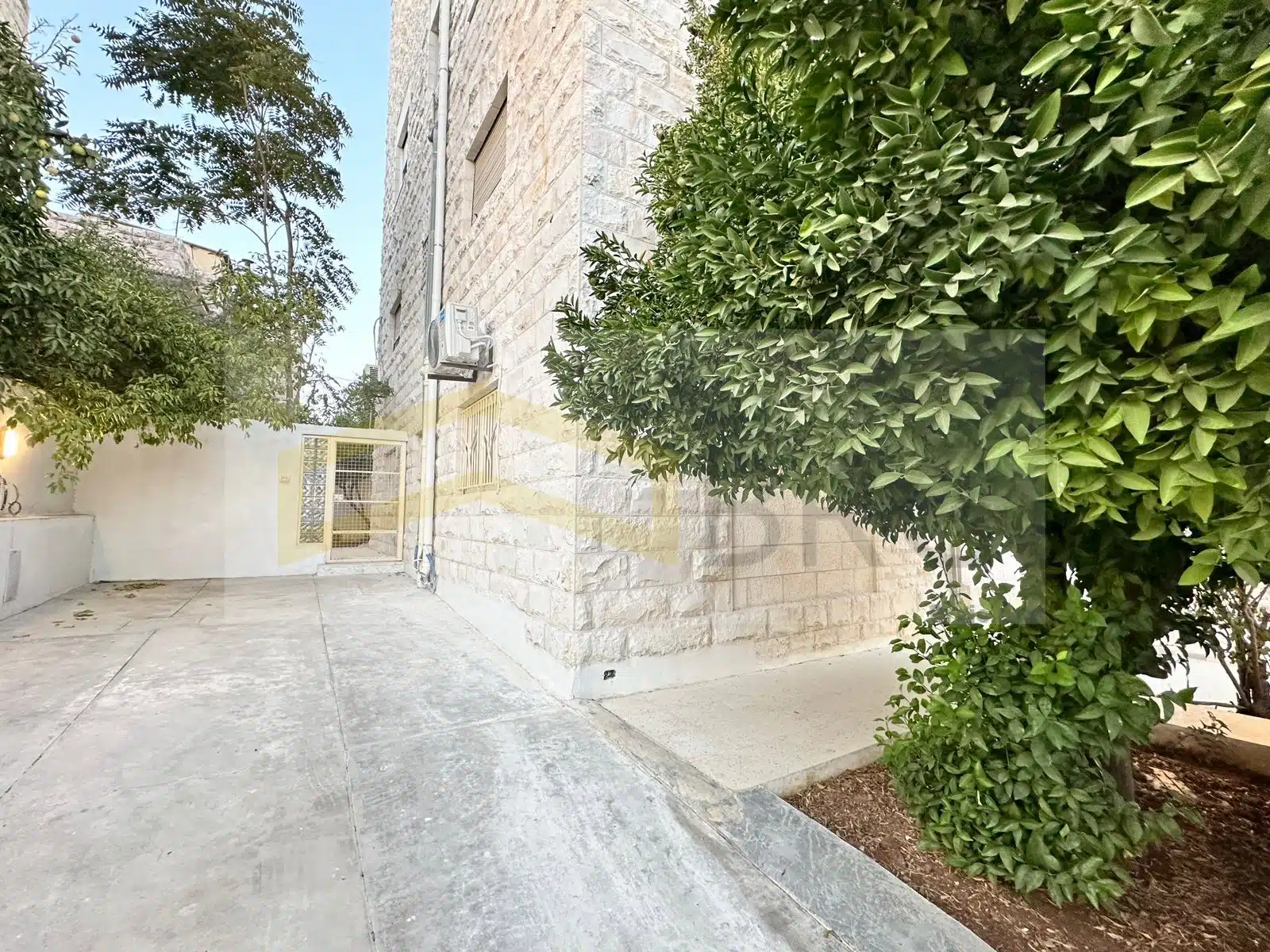 WhatsApp Image 2024-10-10 at 7.49.51 PM