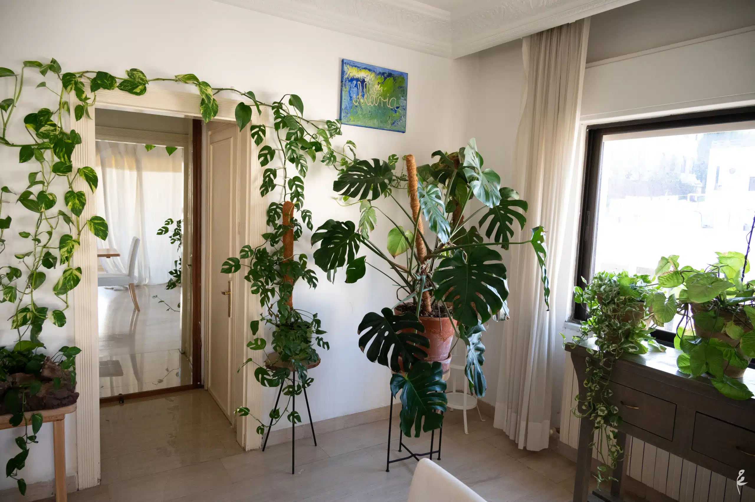 Abdoun APT1-53