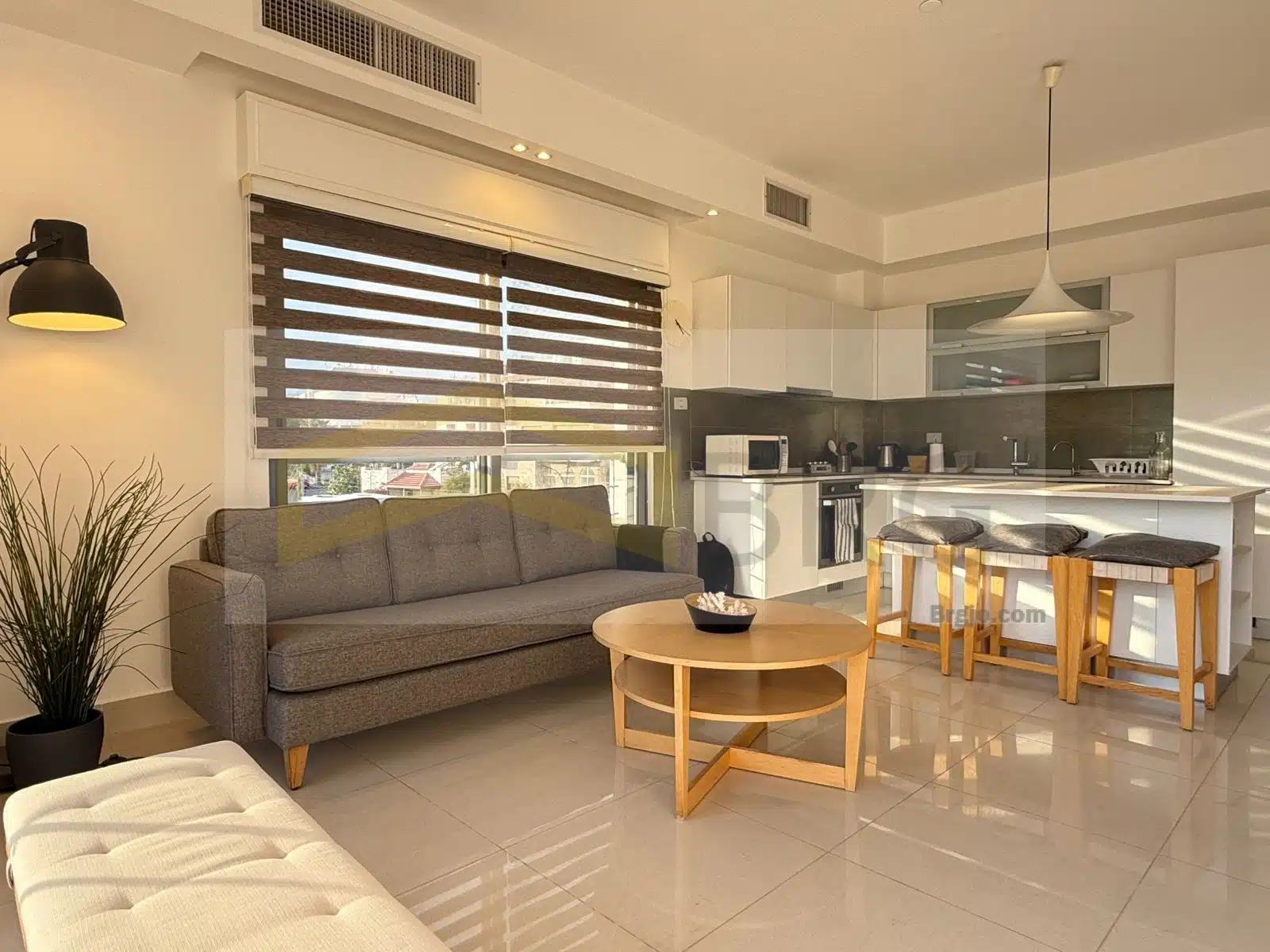 WhatsApp Image 2024-11-18 at 4.55.58 PM (1)