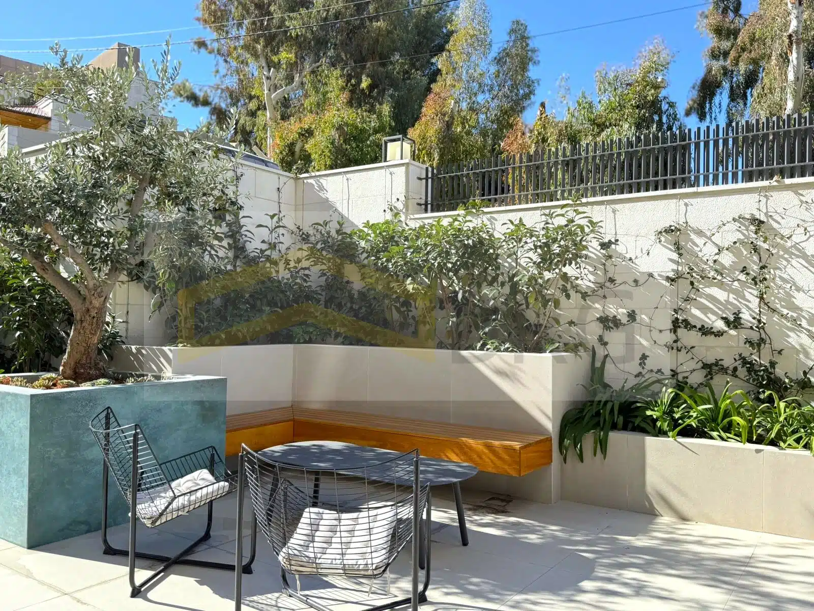 WhatsApp Image 2024-12-23 at 1.46.55 PM (1)