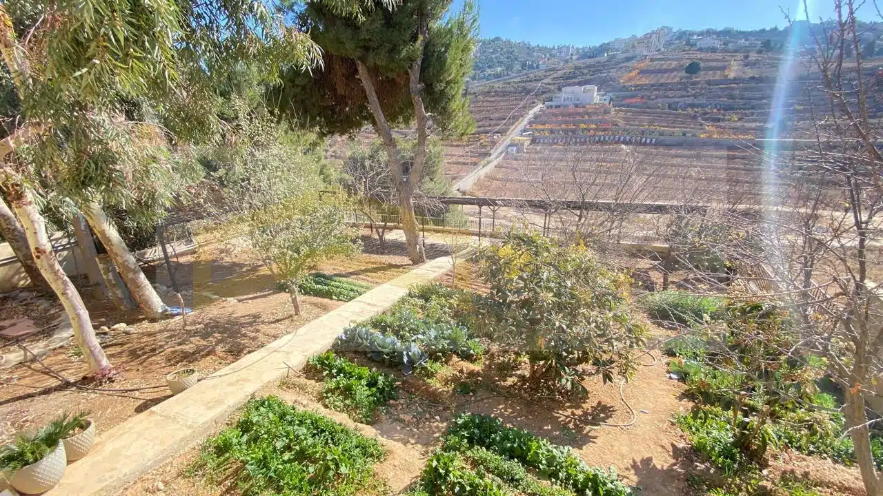 1aedda55-7355-4c66-b005-4e4bafcd9e94