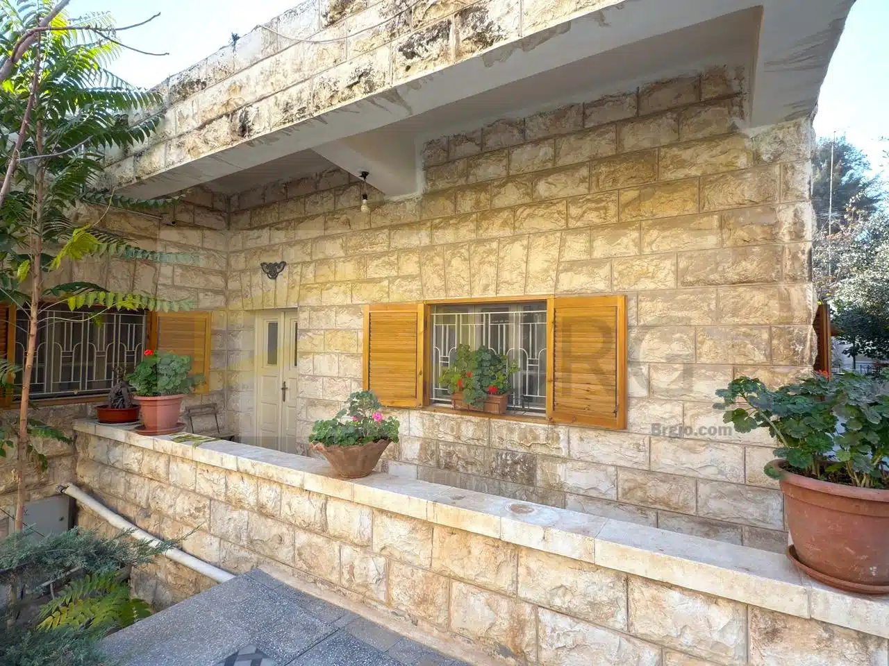 WhatsApp Image 2024-12-01 at 4.19.47 PM