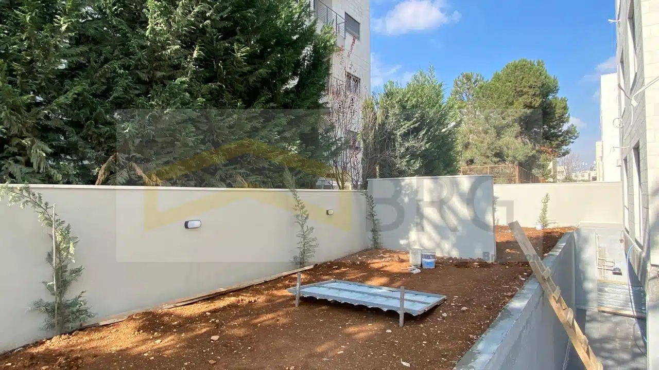 WhatsApp Image 2025-01-02 at 1.18.35 PM (3)