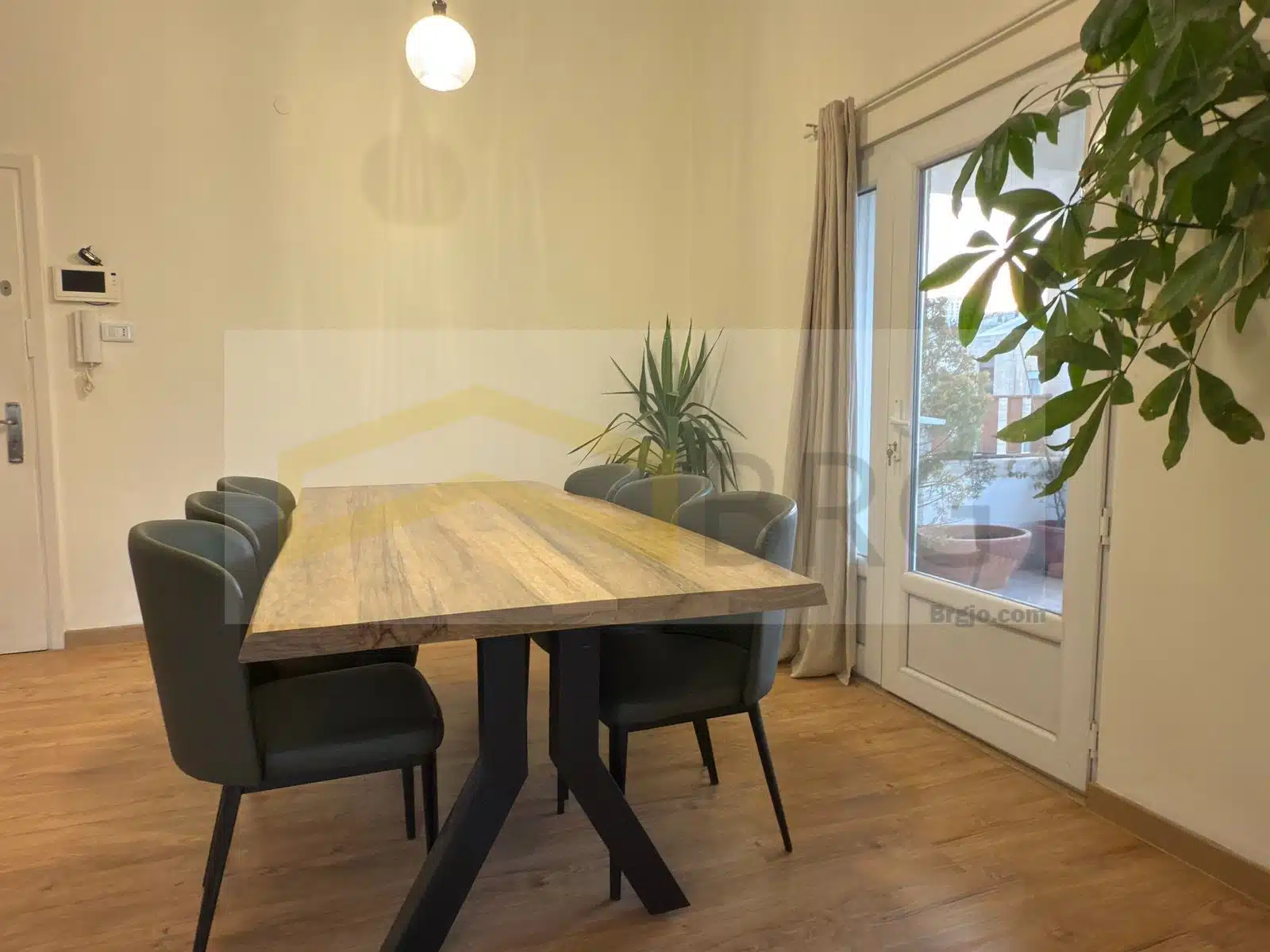 WhatsApp Image 2025-01-06 at 6.16.06 PM