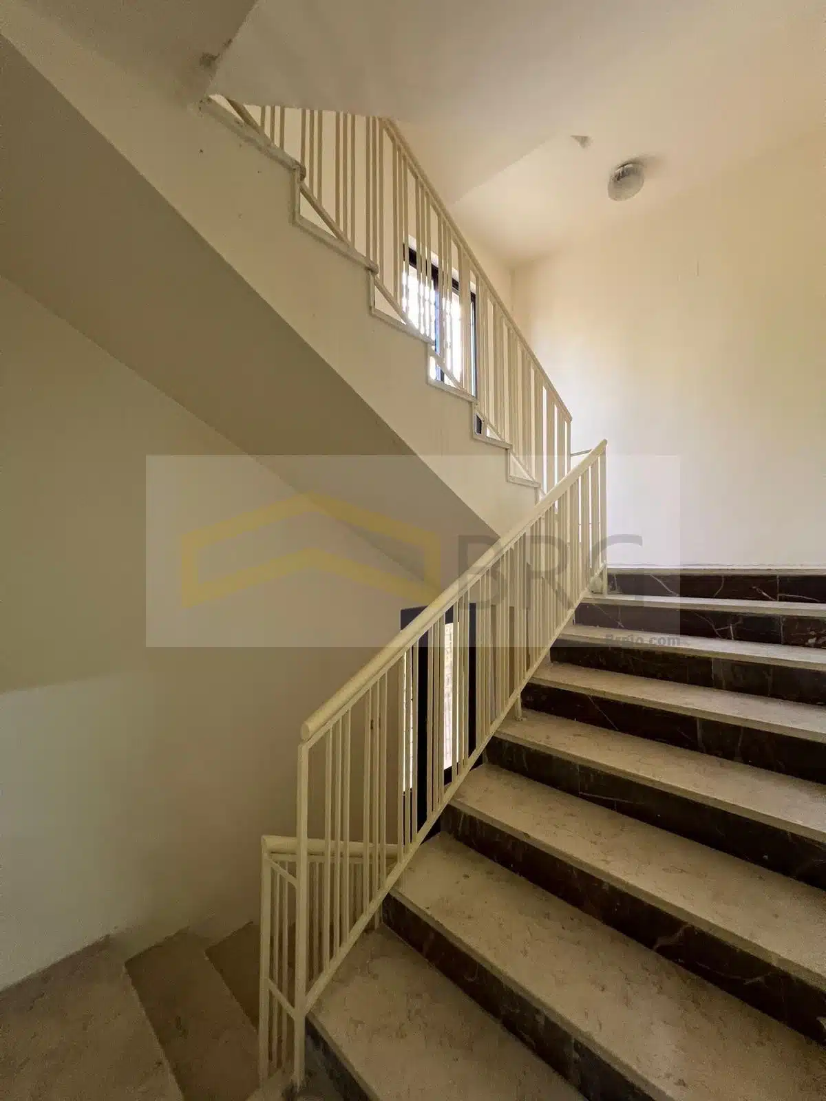 WhatsApp Image 2025-01-16 at 3.35.27 PM (2)