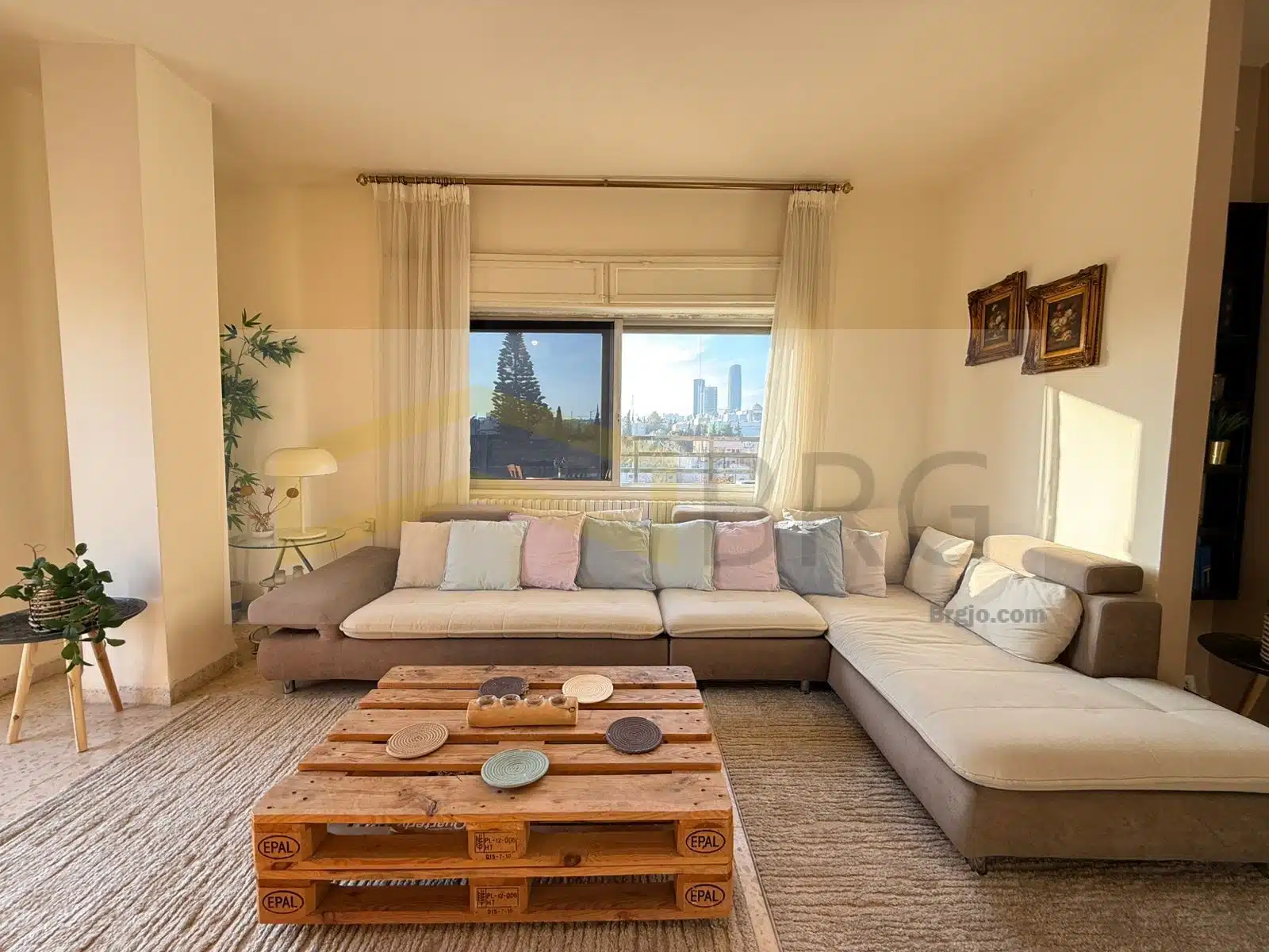 WhatsApp Image 2025-01-20 at 1.26.34 PM (1)