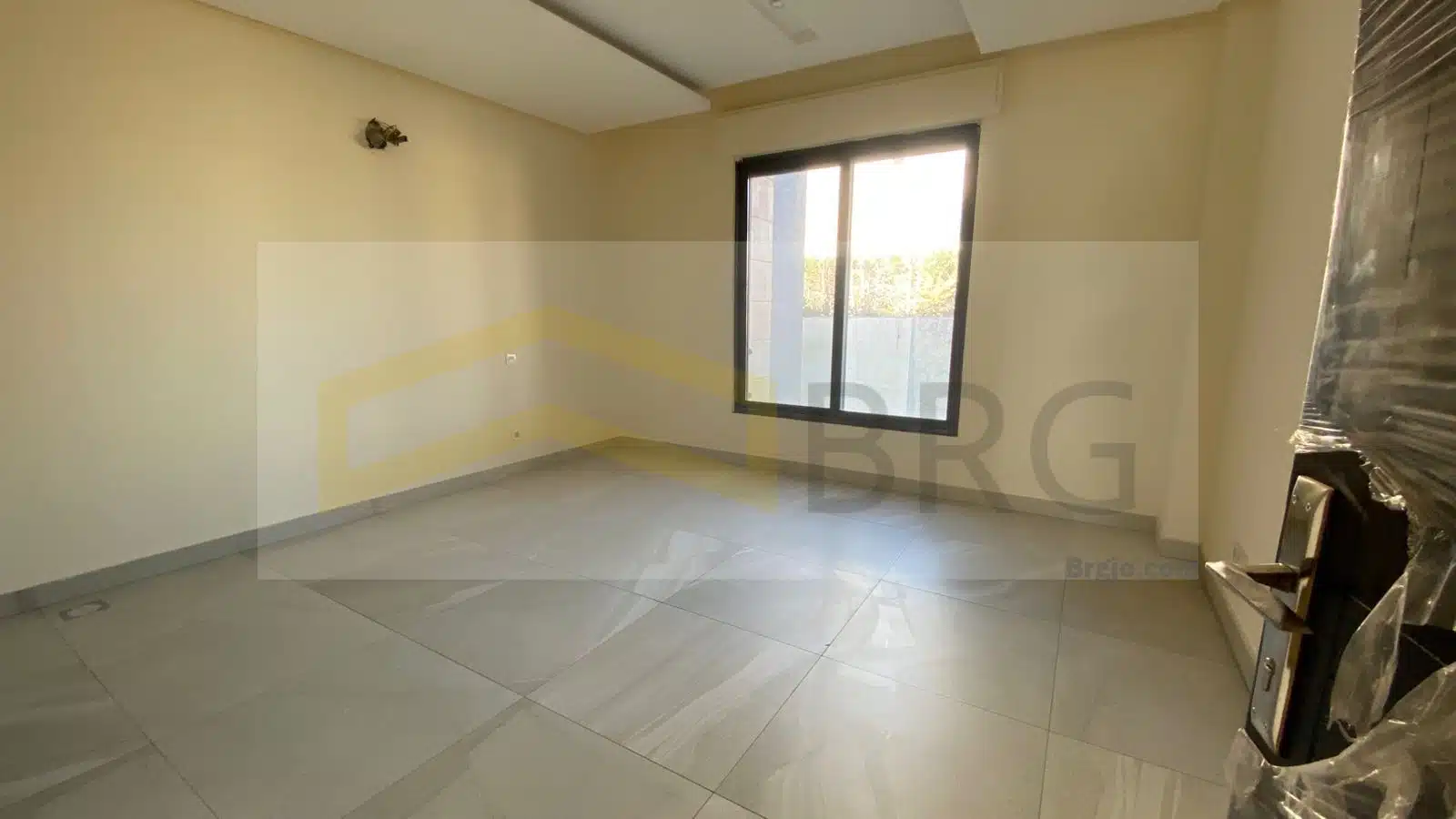 WhatsApp Image 2025-01-21 at 3.45.54 PM