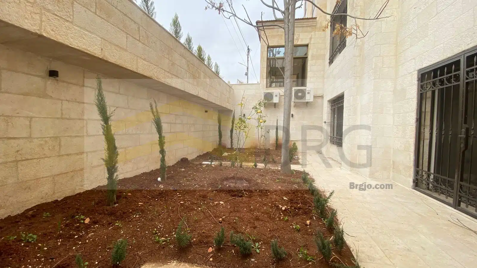 WhatsApp Image 2025-02-03 at 12.51.05 PM (3)