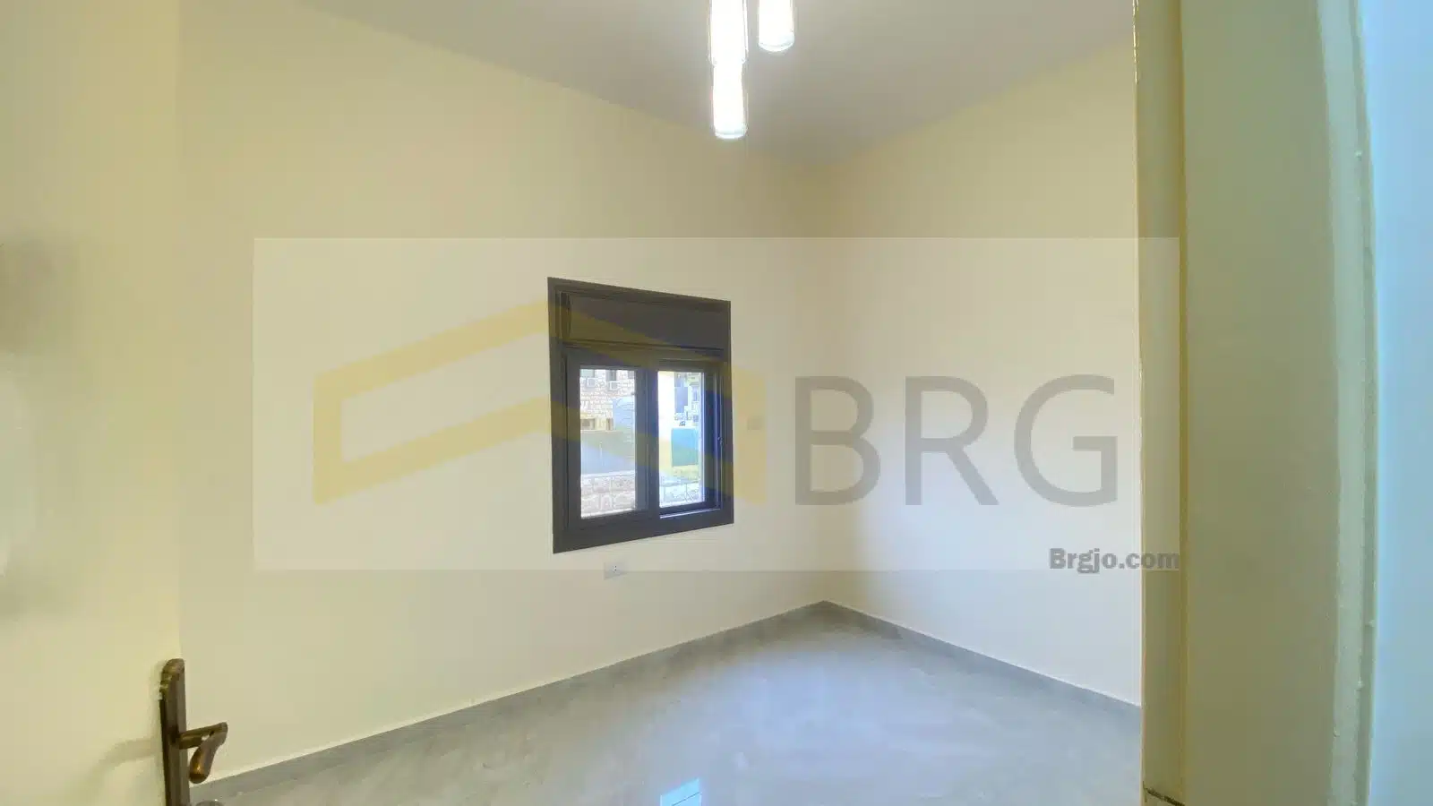 WhatsApp Image 2025-03-06 at 4.09.32 PM