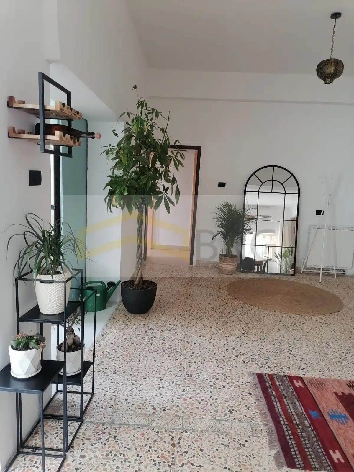 WhatsApp Image 2025-03-09 at 3.29.57 PM (1)