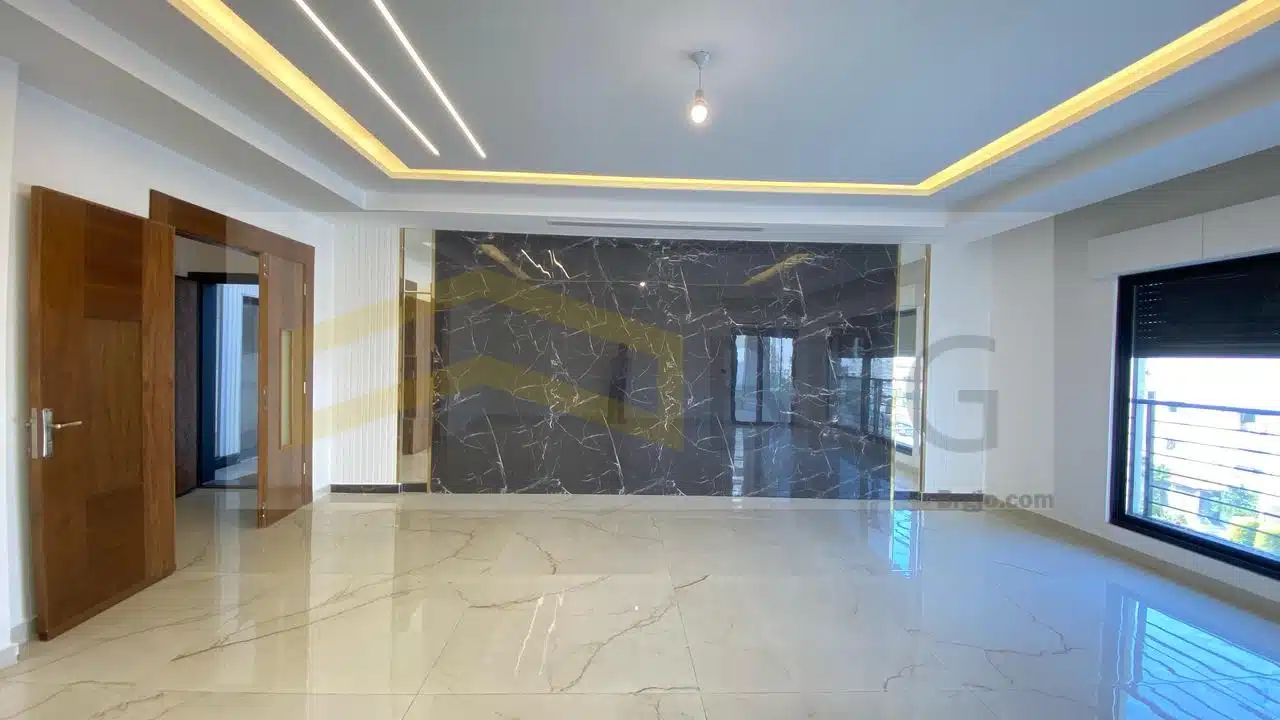 WhatsApp Image 2025-03-18 at 2.46.10 PM