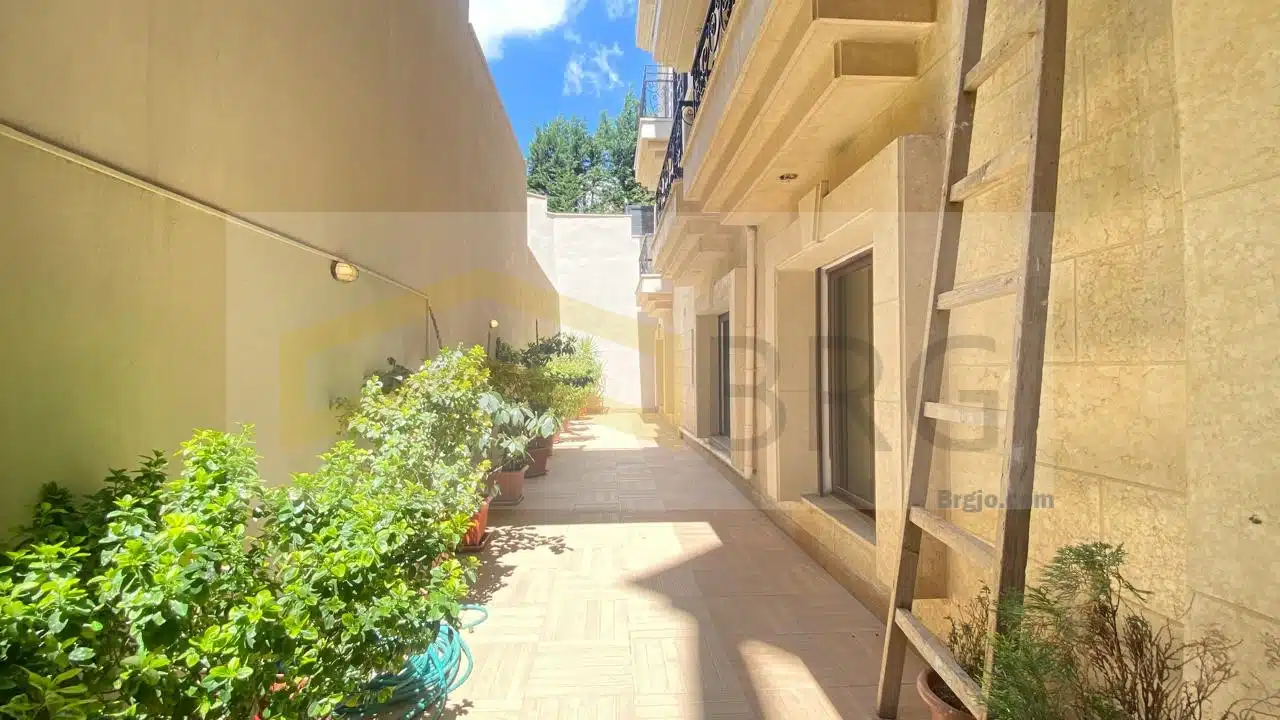 WhatsApp Image 2025-04-15 at 1.19.06 PM