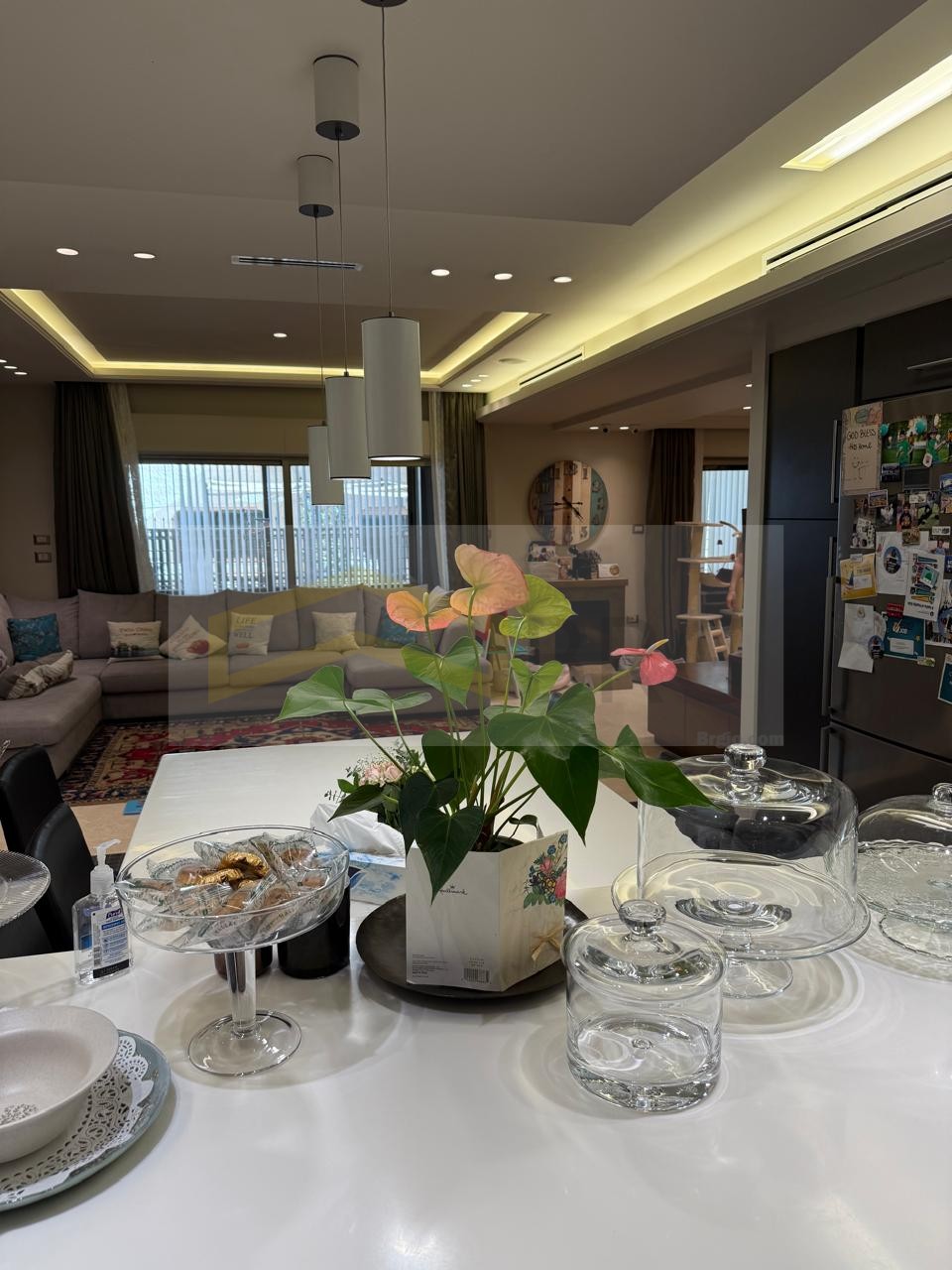 169540ef-a6db-4608-893e-e72de1f8c499