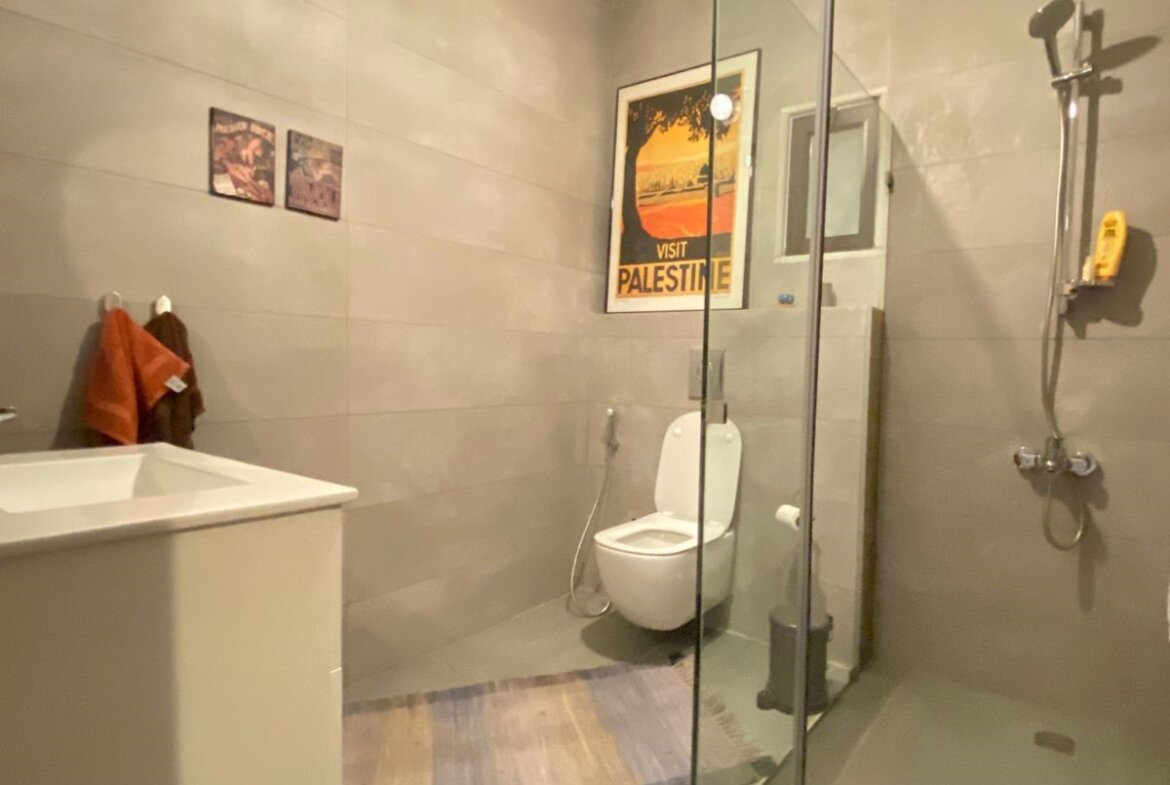 Modern bathroom with a glass shower enclosure, white toilet, sink, and a framed 'Visit Palestine' poster on the wall.