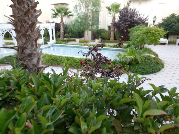 Green tropical courtyard with a rectangular pool, palm trees, and white arched trellis in the background the foreground shows lush shrubs.