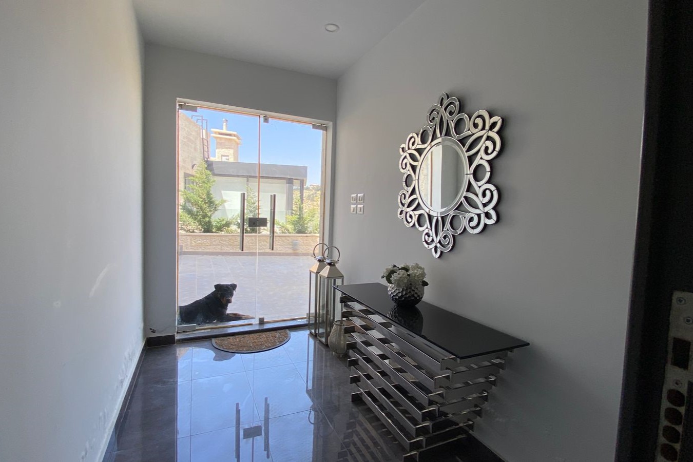 fc0d6c31-d643-44e0-bddc-f6a133324036 Dog resting at a glass front door in a modern foyer; a metal console table with a vase and a large ornate round mirror on the gray wall to the right.