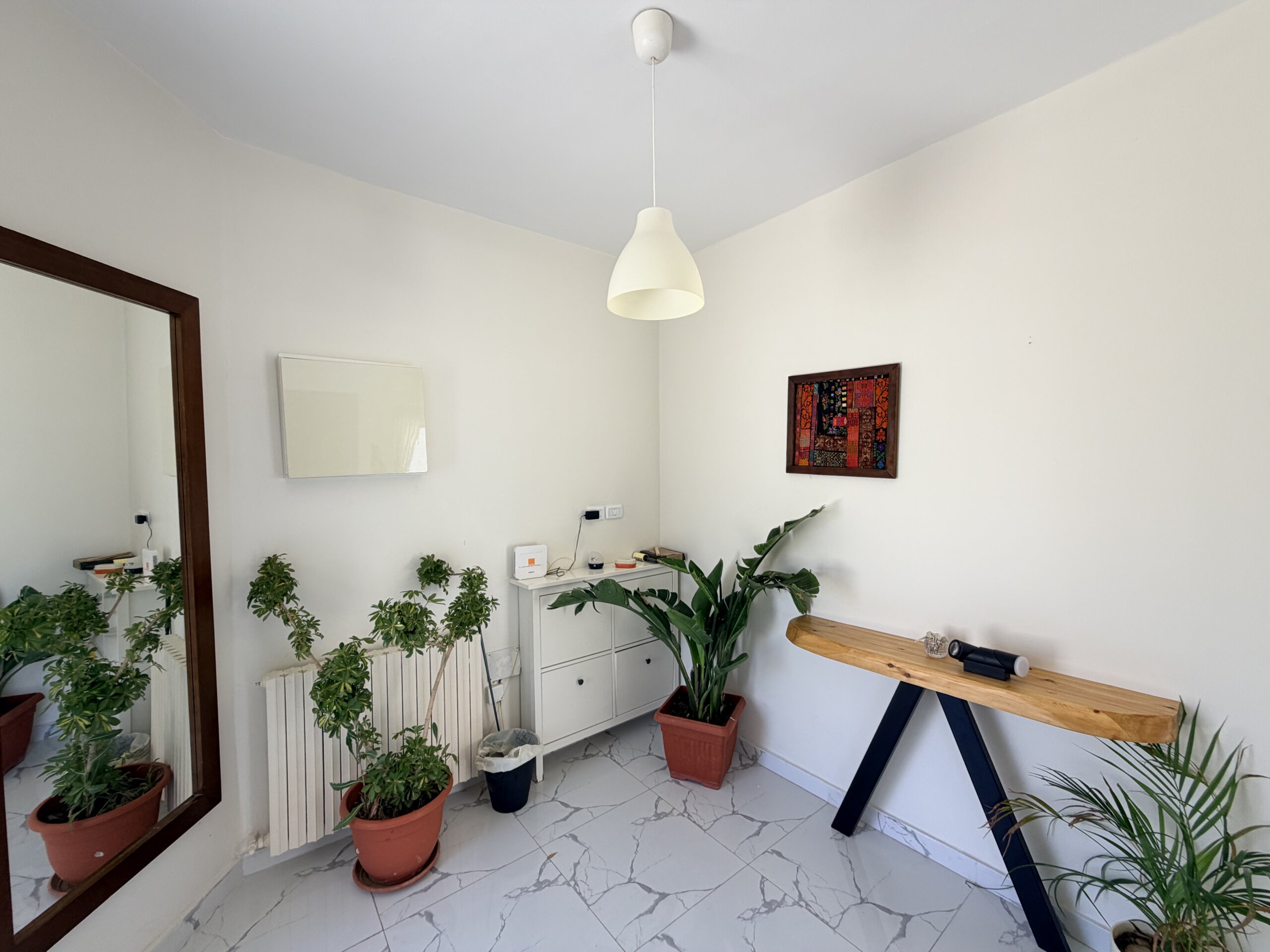 IMG_2896 Minimalist interior with potted plants along a white wall, a wooden-framed mirror on the left, and a white pendant light hanging from the ceiling.