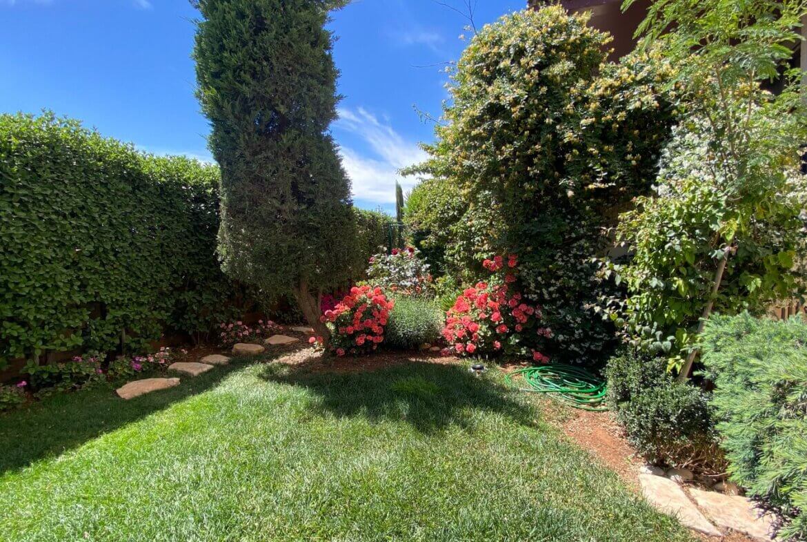 Sunny backyard garden with pink roses, manicured hedges, and a stone stepping path beside a beige house.