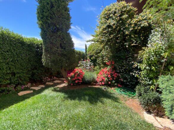 Sunny backyard garden with pink roses, manicured hedges, and a stone stepping path beside a beige house.