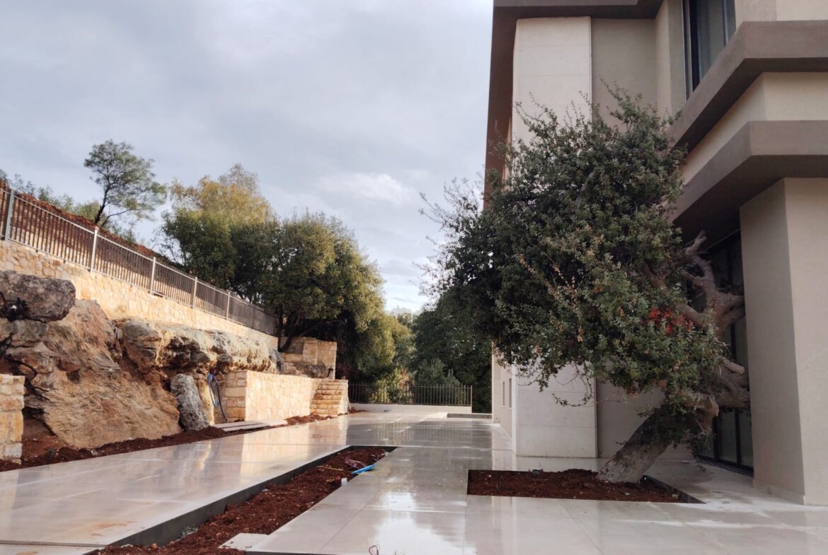 Modern building with a large tree bending over a glossy, tiled courtyard and stone wall on the left side.