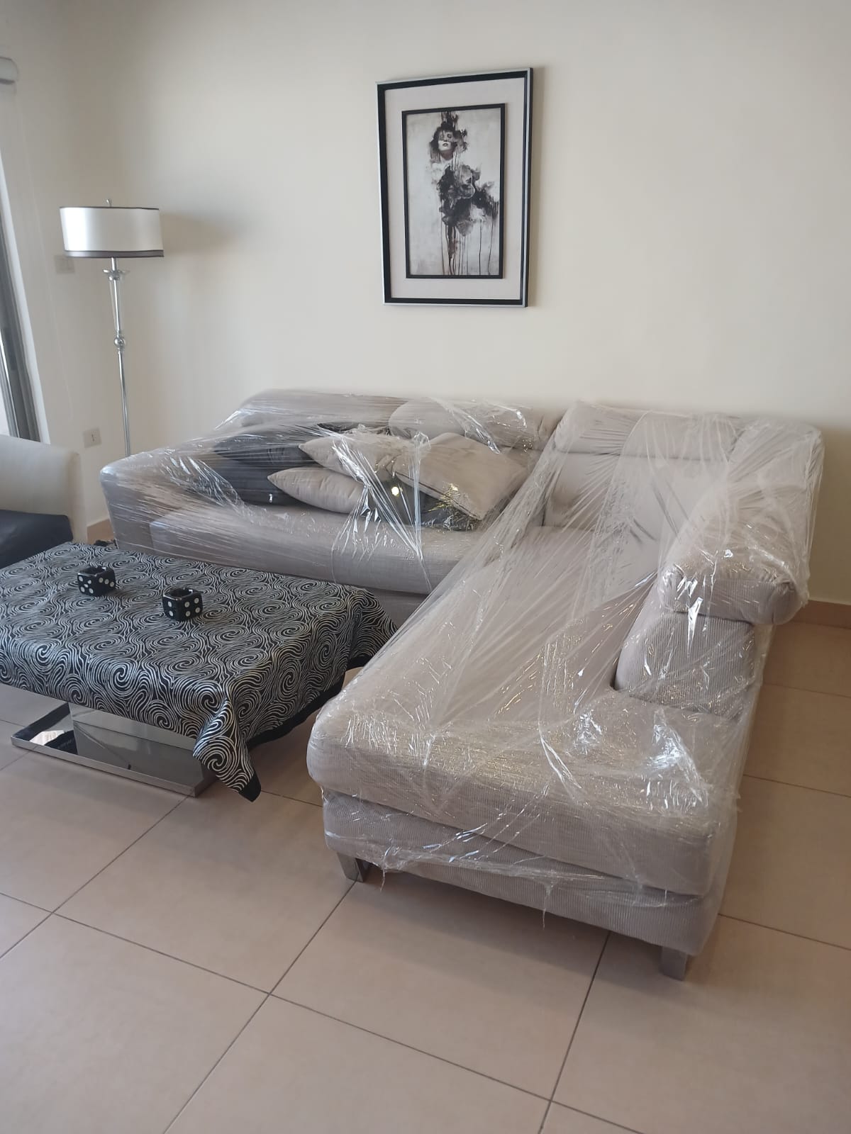 bbc64a8c-8dad-41d3-ba0e-3ca854b61bca Living room with plastic-covered gray sofa and matching chair, a black-and-white patterned coffee table, and framed art on the wall.