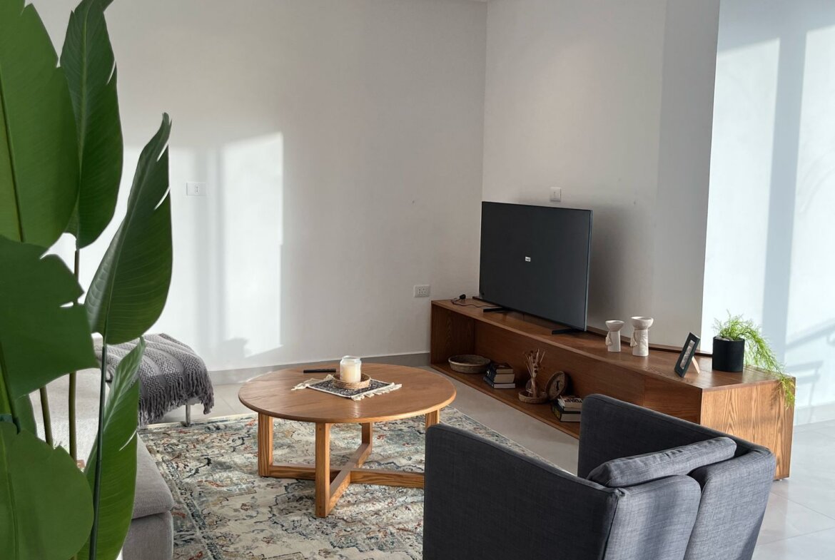 Bright living room with gray armchairs around a round wooden coffee table, a patterned rug, and a TV on a low wooden console under a sunny window, plus a tall leafy plant on the left.