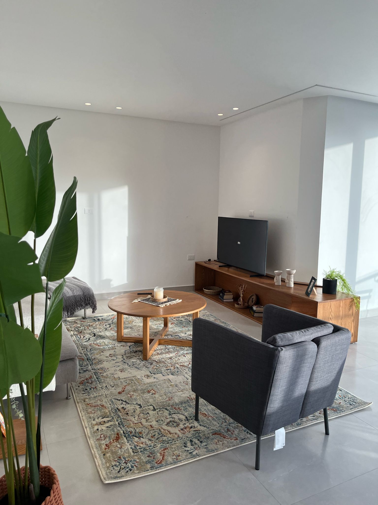 be7d1b61-4ce0-4798-ade8-346387805164 Bright living room with gray armchairs around a round wooden coffee table, a patterned rug, and a TV on a low wooden console under a sunny window, plus a tall leafy plant on the left.