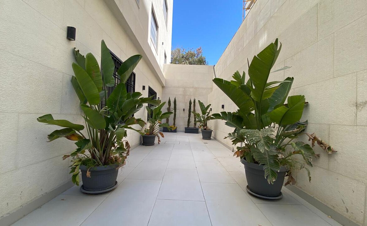 Narrow courtyard with tall potted tropical plants along both walls and a blue sky above an open end of the space.