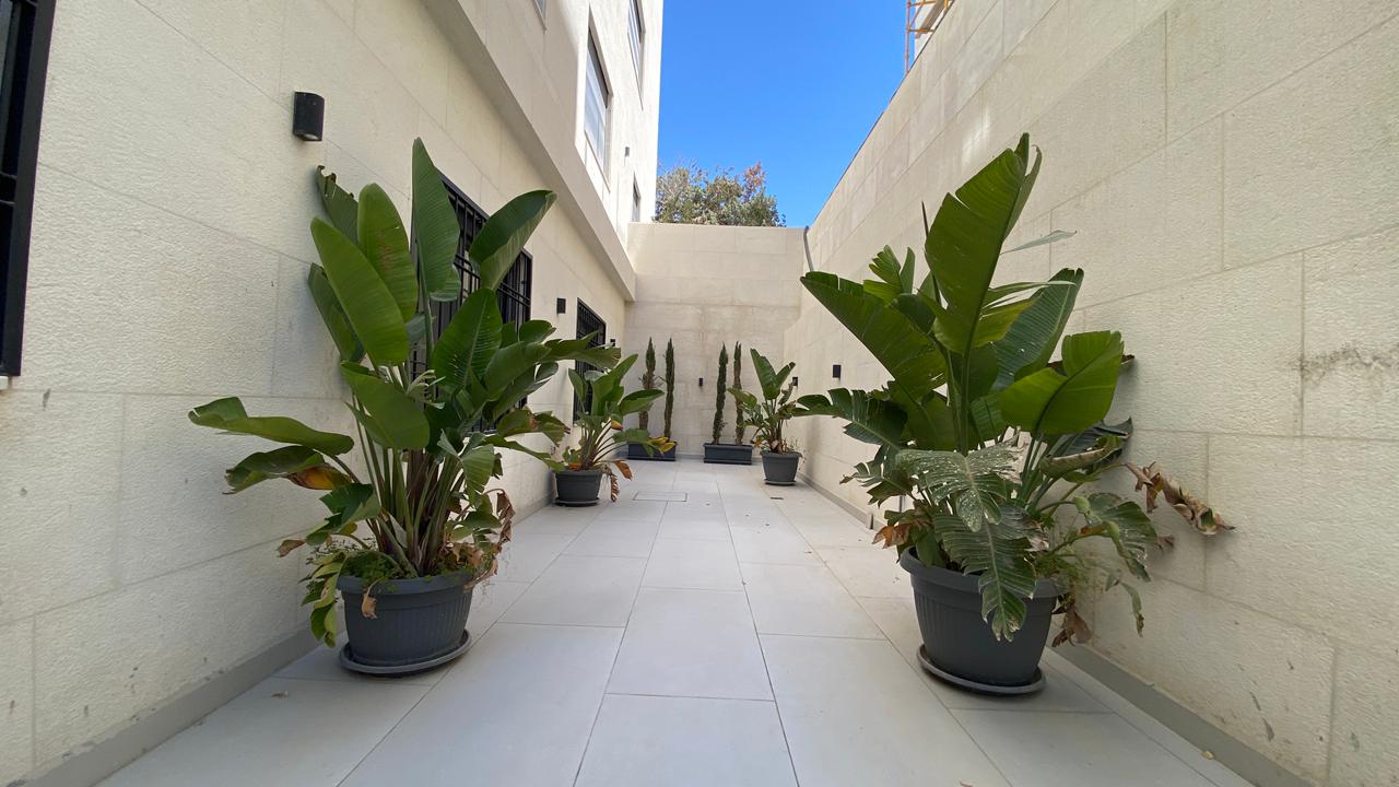 f68eb194-f01b-4c88-b3b3-64f265ae57ba Narrow courtyard with tall potted tropical plants along both walls and a blue sky above an open end of the space.